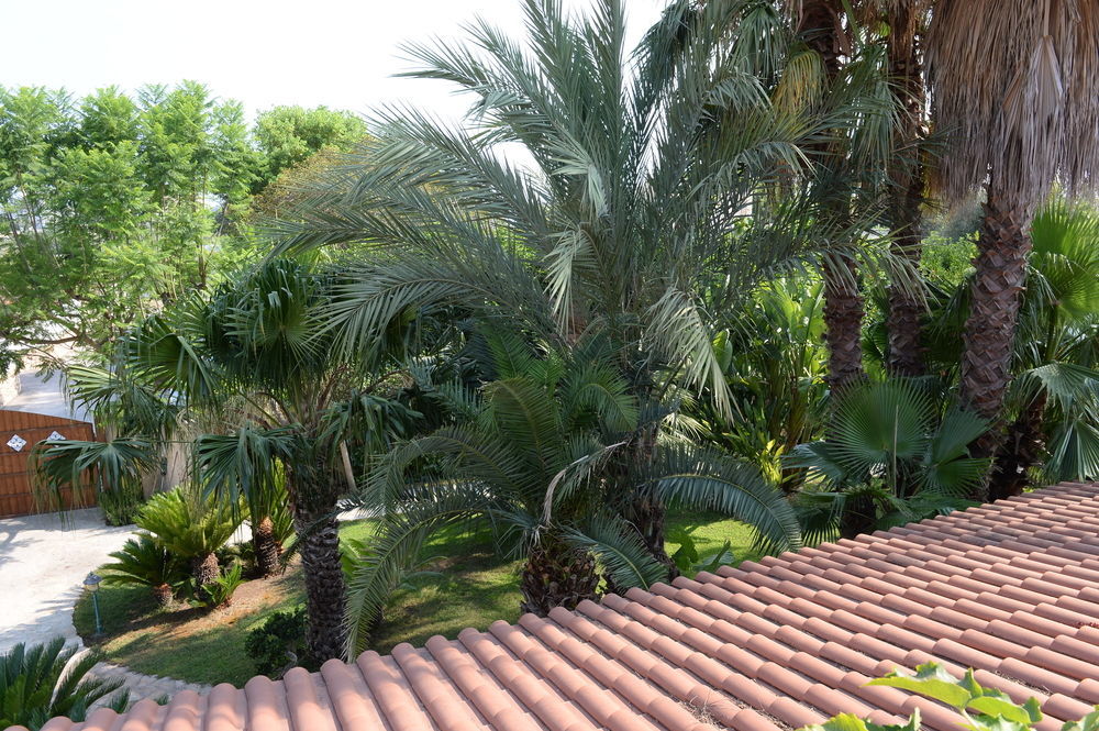 Il Giardino Delle Jacaranda Bed and Breakfast Talsano Exteriör bild